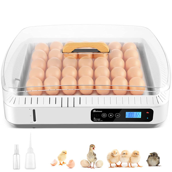 Himimi Chicken Egg Incubator For Up To 30+ Eggs & Reviews Wayfair